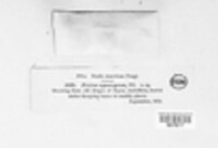 Image Associated With the Occurence